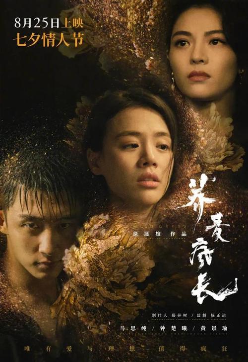 哪里能买到WA驾驶证